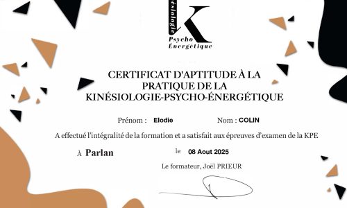kinesiologie
